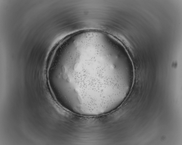 X0000091241072200708161731
