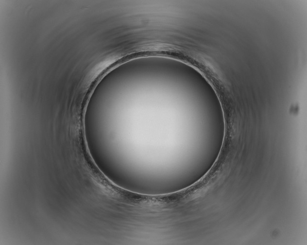 X0000091241073200708161731