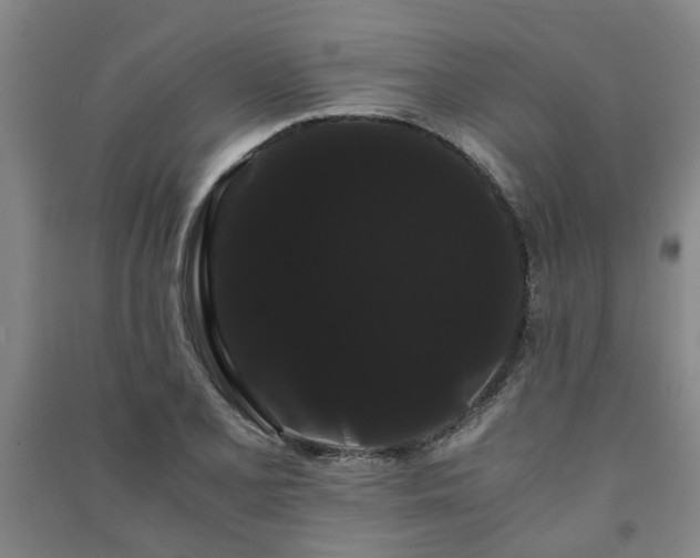 X0000091241077200708161731
