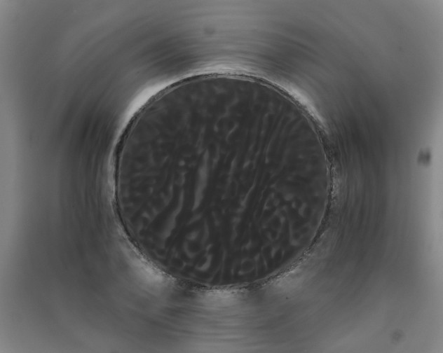 X0000091241078200708161731