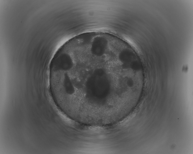 X0000091241079200708161731