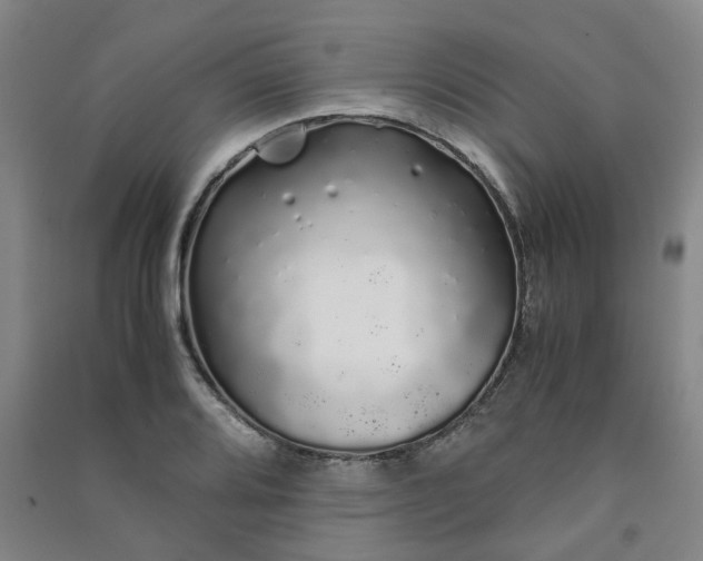 X0000091241080200708161731