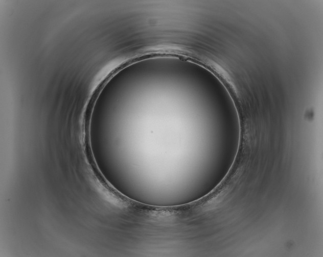 X0000091241082200708161731