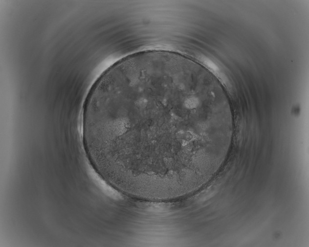 X0000091241084200708161731