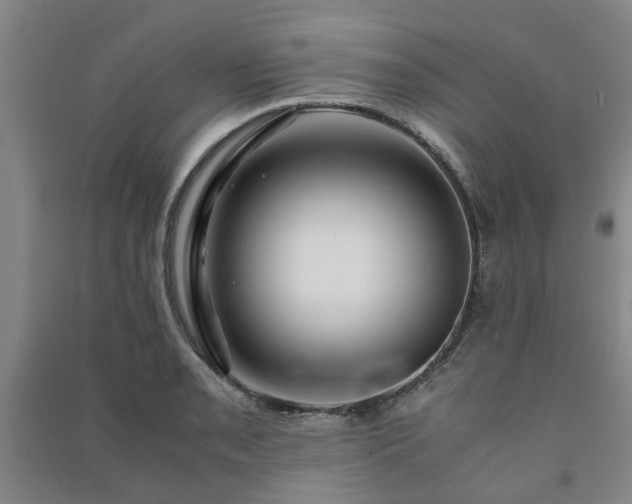 X0000091241085200708161731
