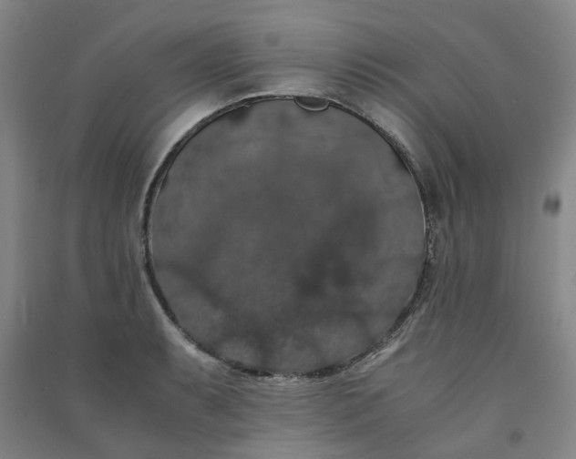 X0000091241087200708161731