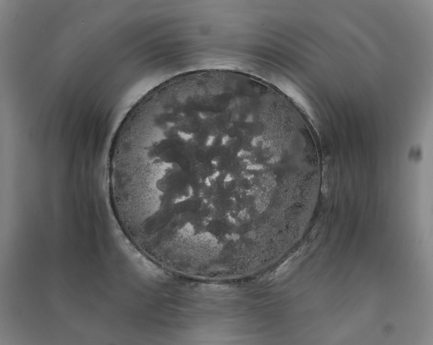 X0000091241088200708161731