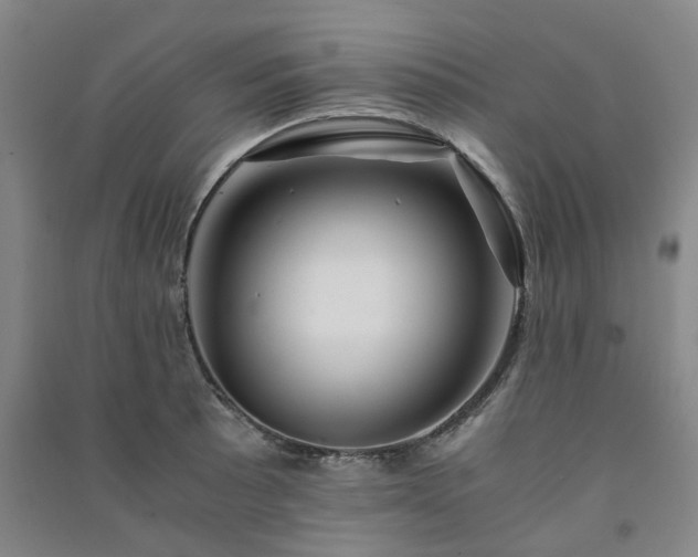 X0000091241089200708161731