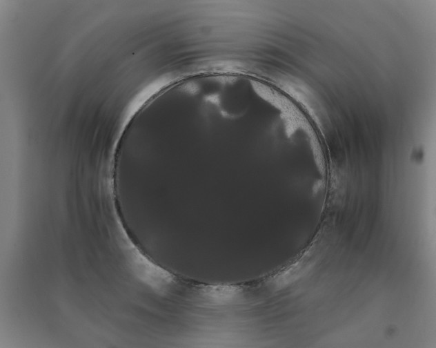 X0000091241090200708161731