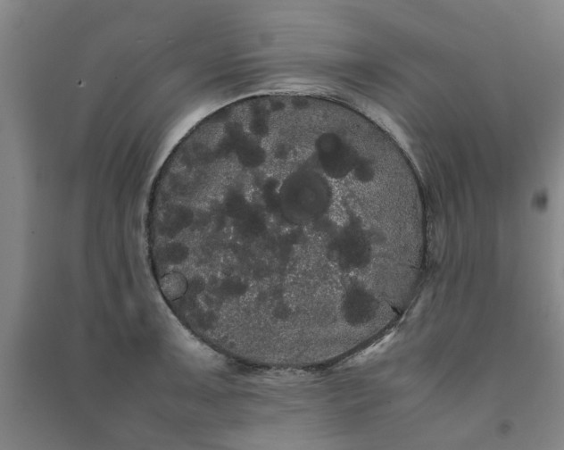 X0000091241091200708161731