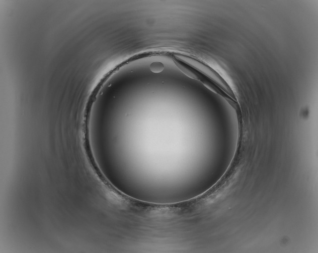 X0000091241093200708161731