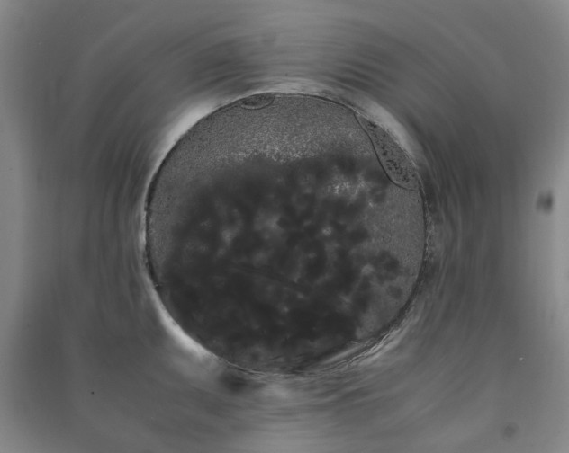X0000091241095200708161731