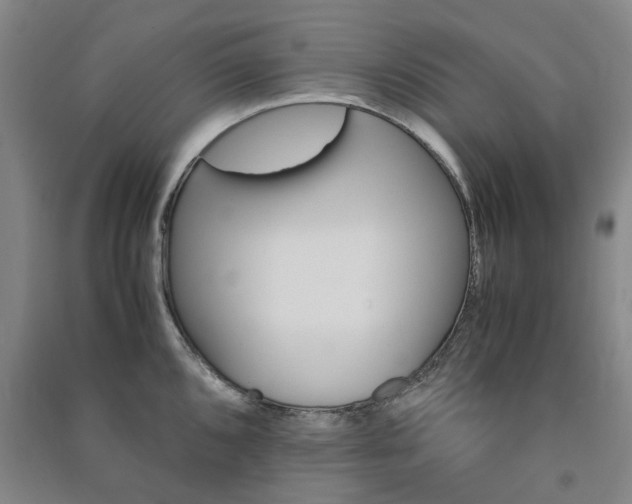 X0000091241096200708161731