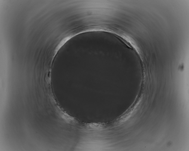X0000091241097200708161731