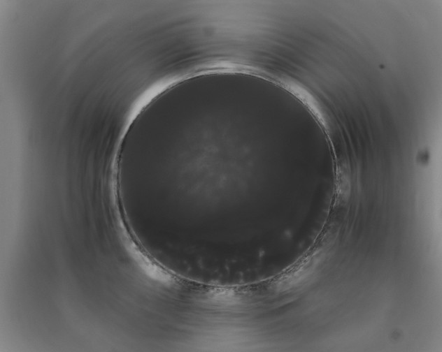 X0000091241098200708161731
