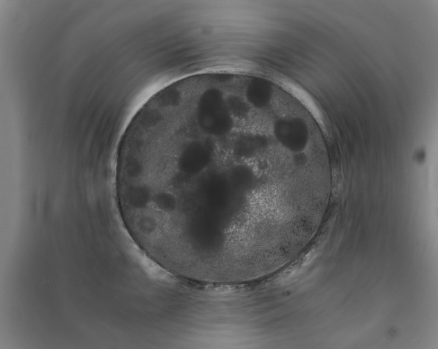 X0000091241099200708161731
