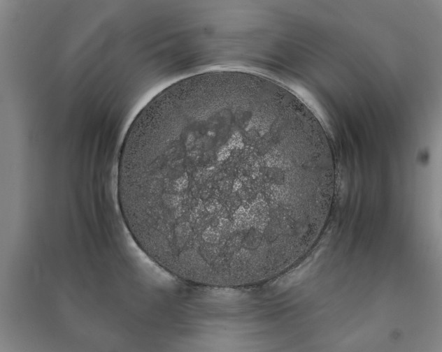X0000091241100200708161731