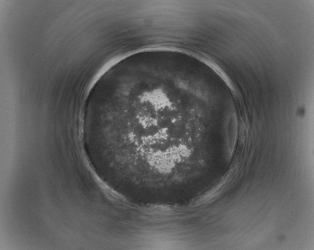 X0000091241101200708161731