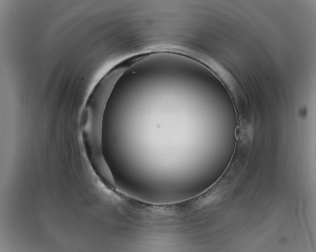X0000091241102200708161731