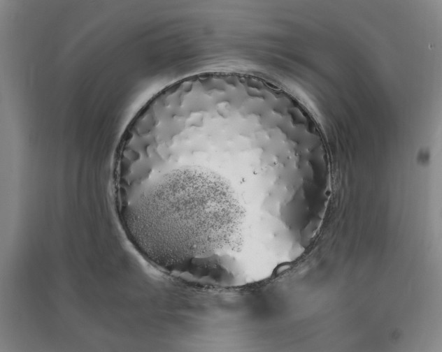 X0000091241103200708161731