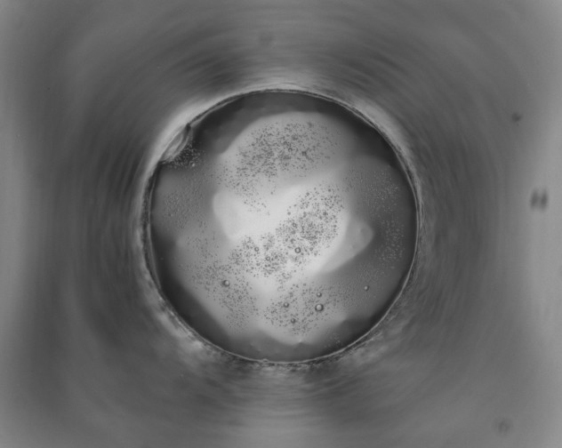 X0000091241104200708161731