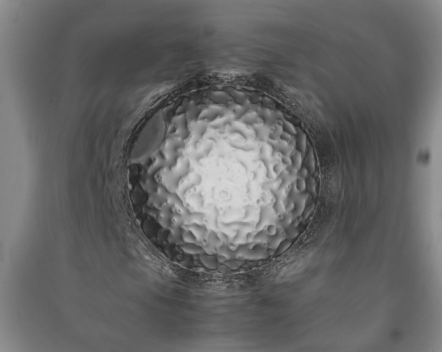 X0000091241105200708161730