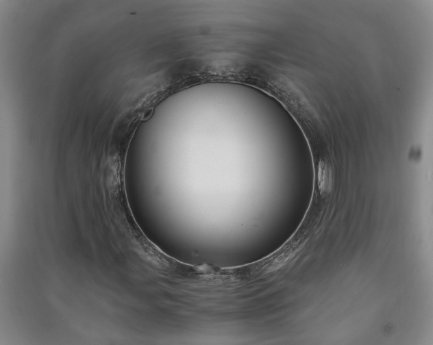 X0000091241107200708161730