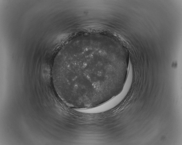 X0000091241108200708161730