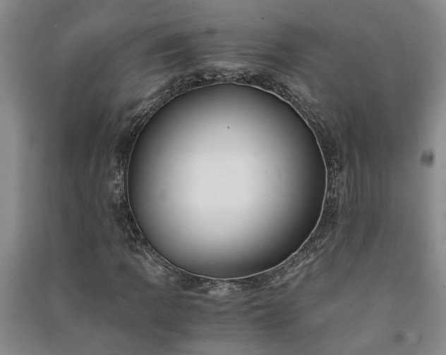 X0000091241109200708161731