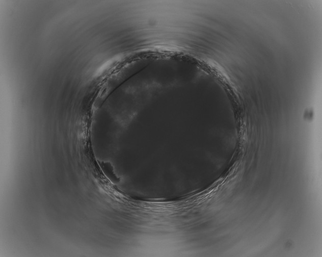 X0000091241110200708161731