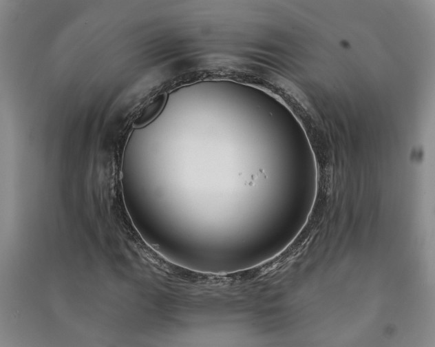 X0000091241111200708161731