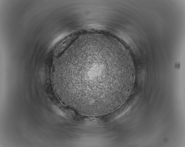 X0000091241112200708161731