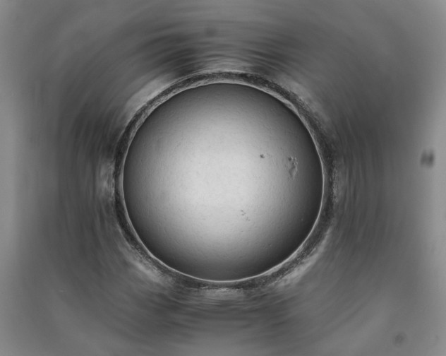 X0000091241113200708161731