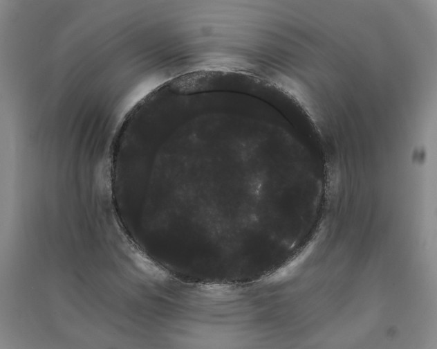 X0000091241114200708161731
