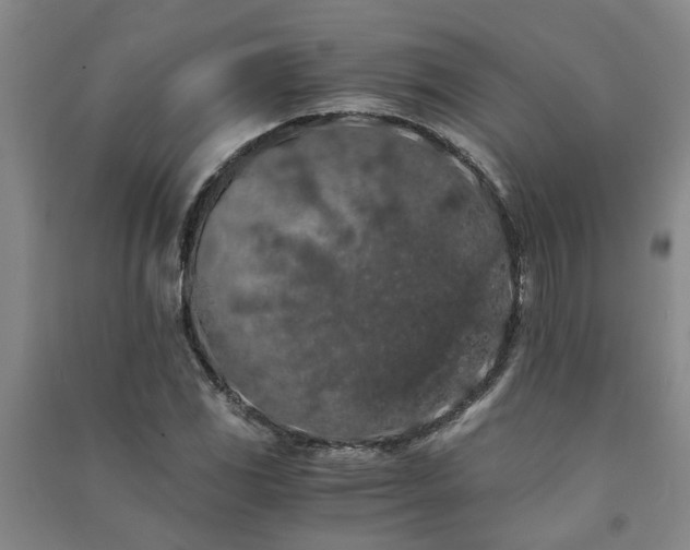 X0000091241117200708161731