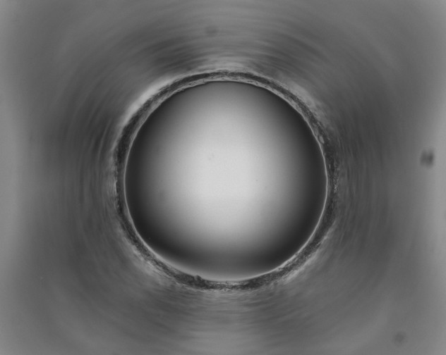 X0000091241118200708161731