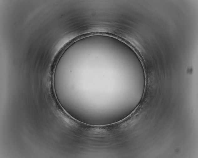 X0000091241119200708161731