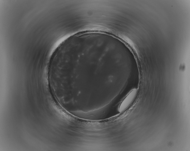 X0000091241120200708161731
