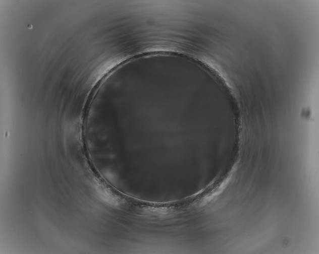 X0000091241121200708161731