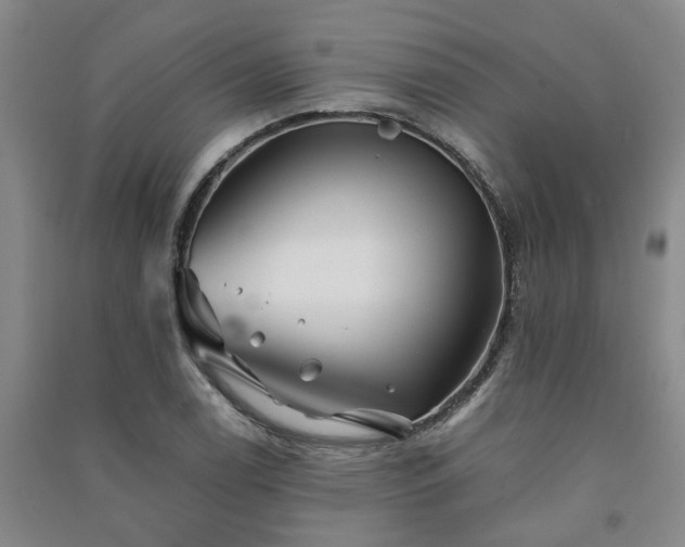 X0000091241122200708161731