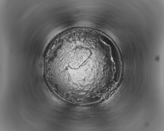 X0000091241123200708161731