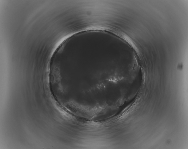 X0000091241124200708161731