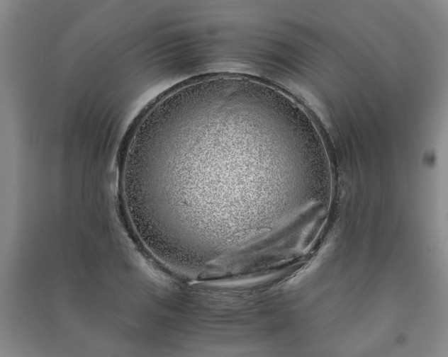 X0000091241125200708161731