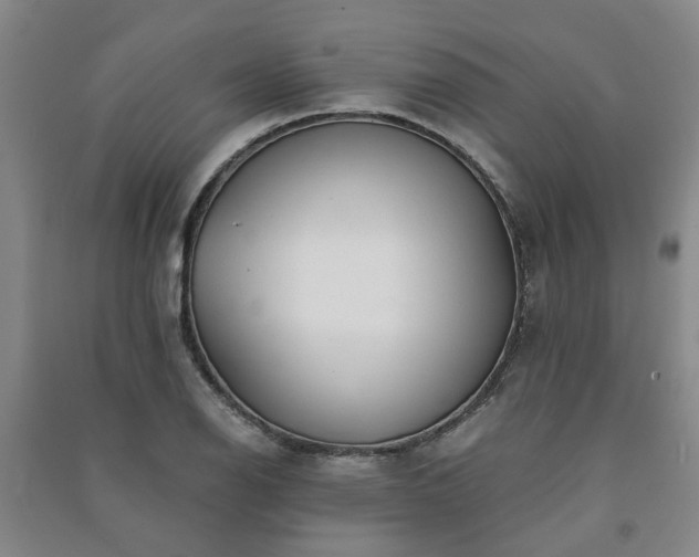 X0000091241126200708161731