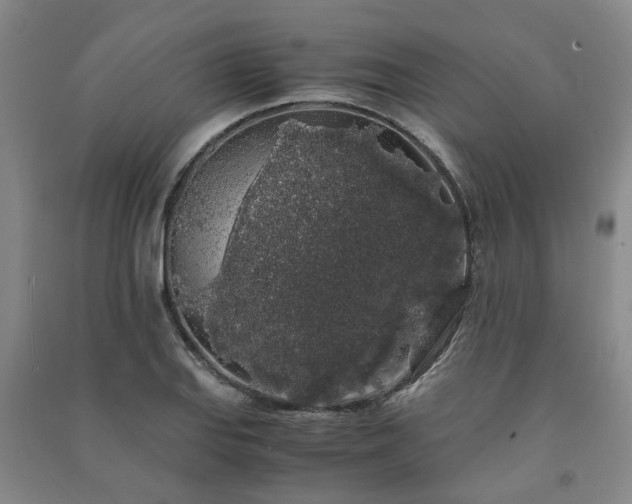 X0000091241127200708161731