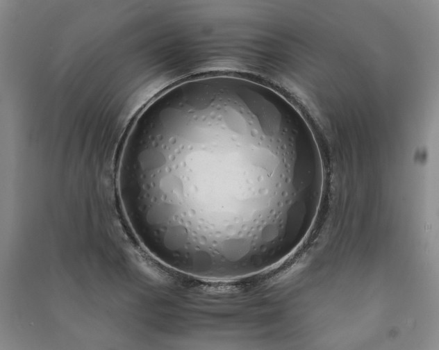 X0000091241129200708161731