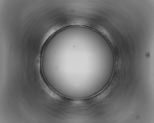 X0000091241130200708161731