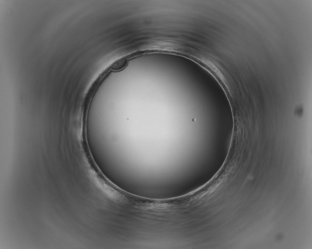 X0000091241131200708161731