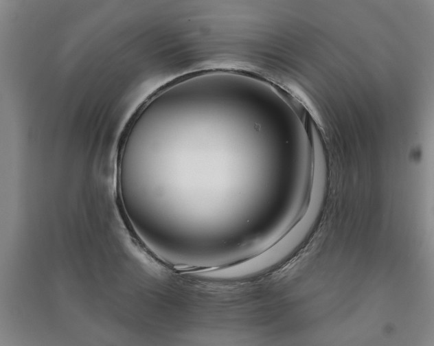 X0000091241132200708161731