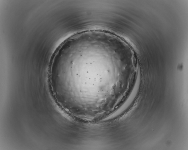 X0000091241134200708161731